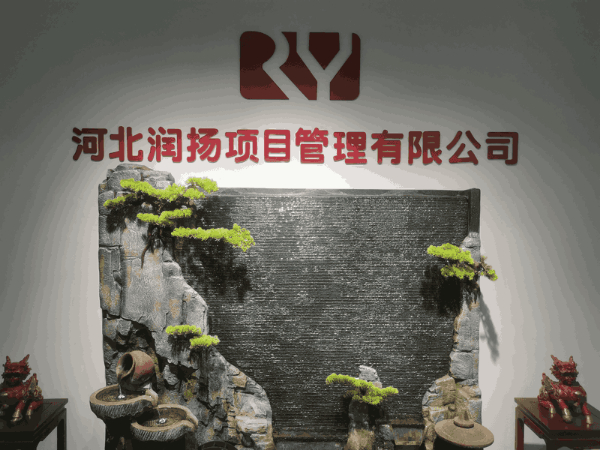 聊城項目管理報告